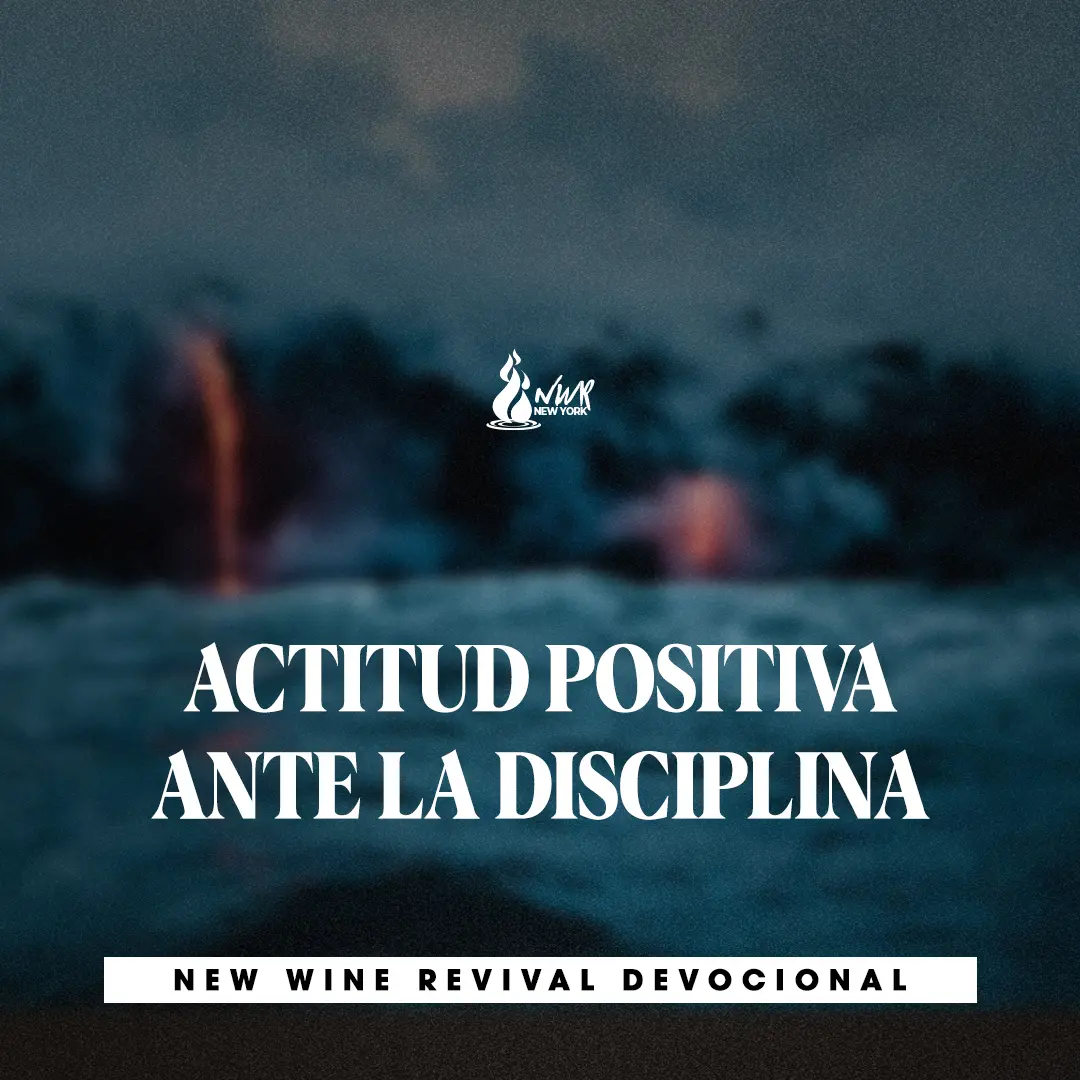 Read more about the article ACTITUD POSITIVA ANTE LA DISCIPLINA