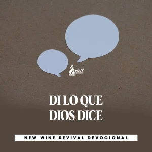 Read more about the article DI LO QUE DIOS DICE