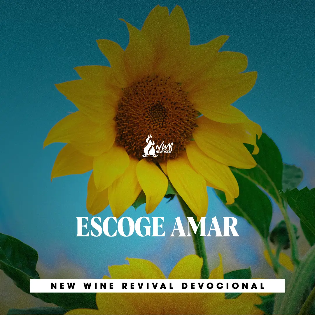 Read more about the article ESCOGE AMAR
