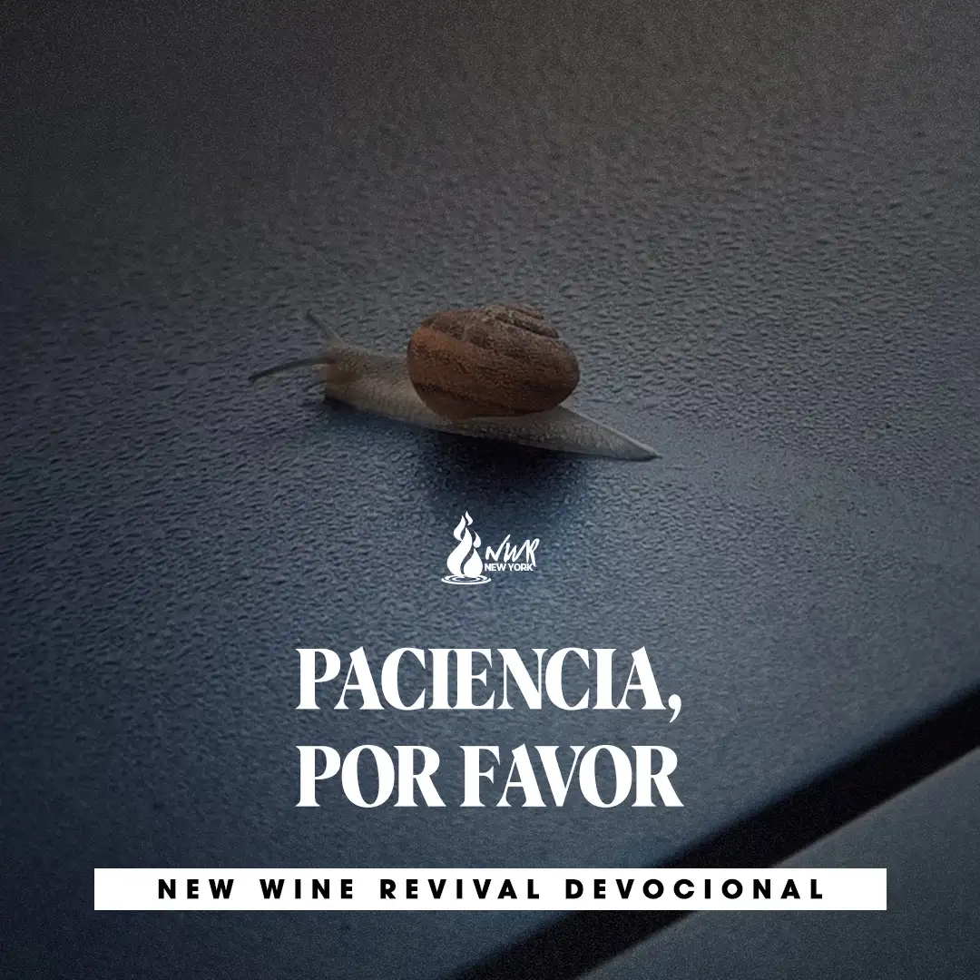 Read more about the article PACIENCIA, POR FAVOR